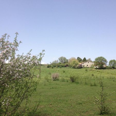 Les Gites D'Eliane Laragne Buitenkant foto