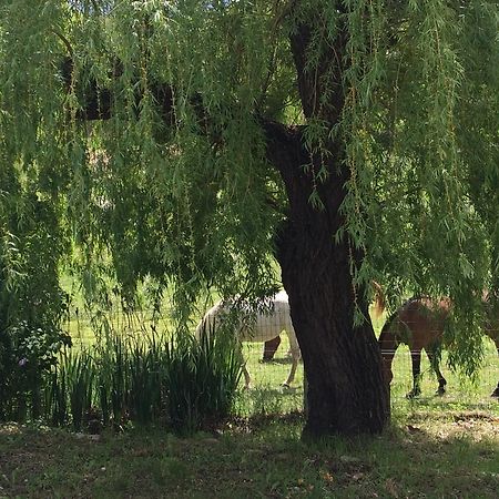 Les Gites D'Eliane Laragne Buitenkant foto