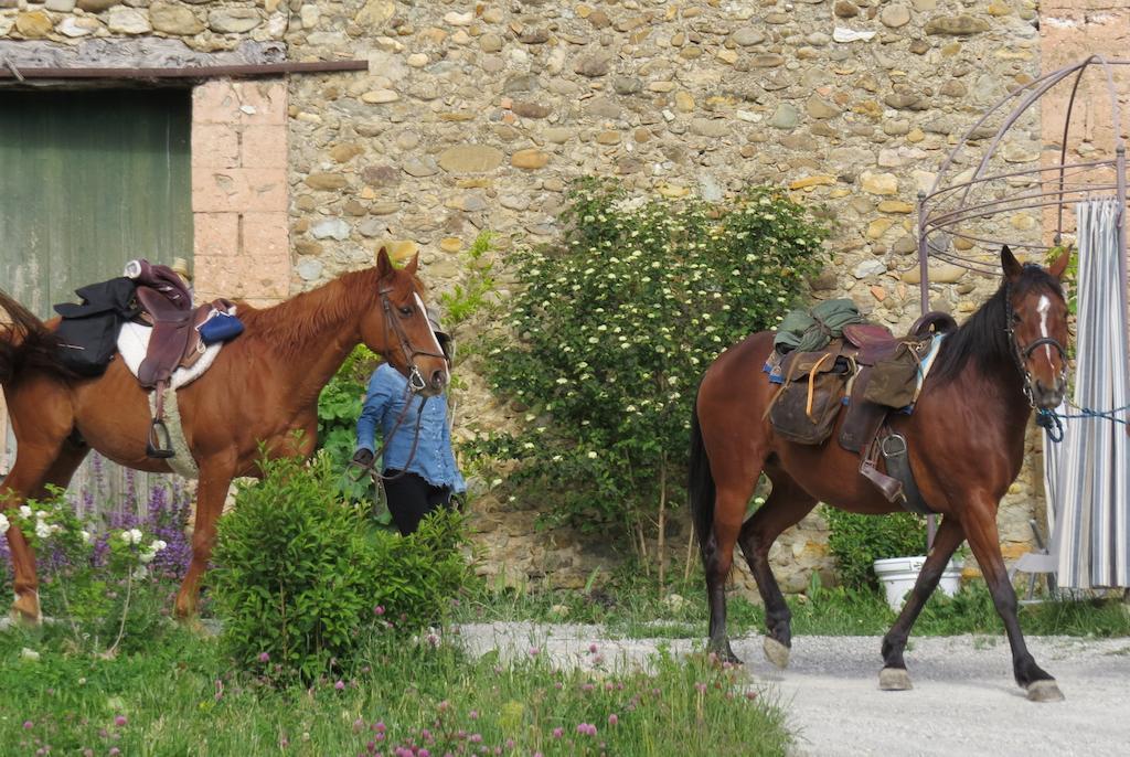 Les Gites D'Eliane Laragne Buitenkant foto