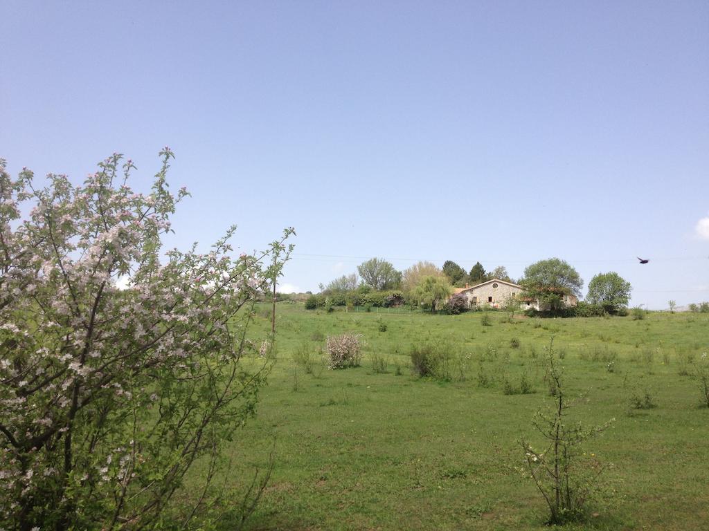 Les Gites D'Eliane Laragne Buitenkant foto