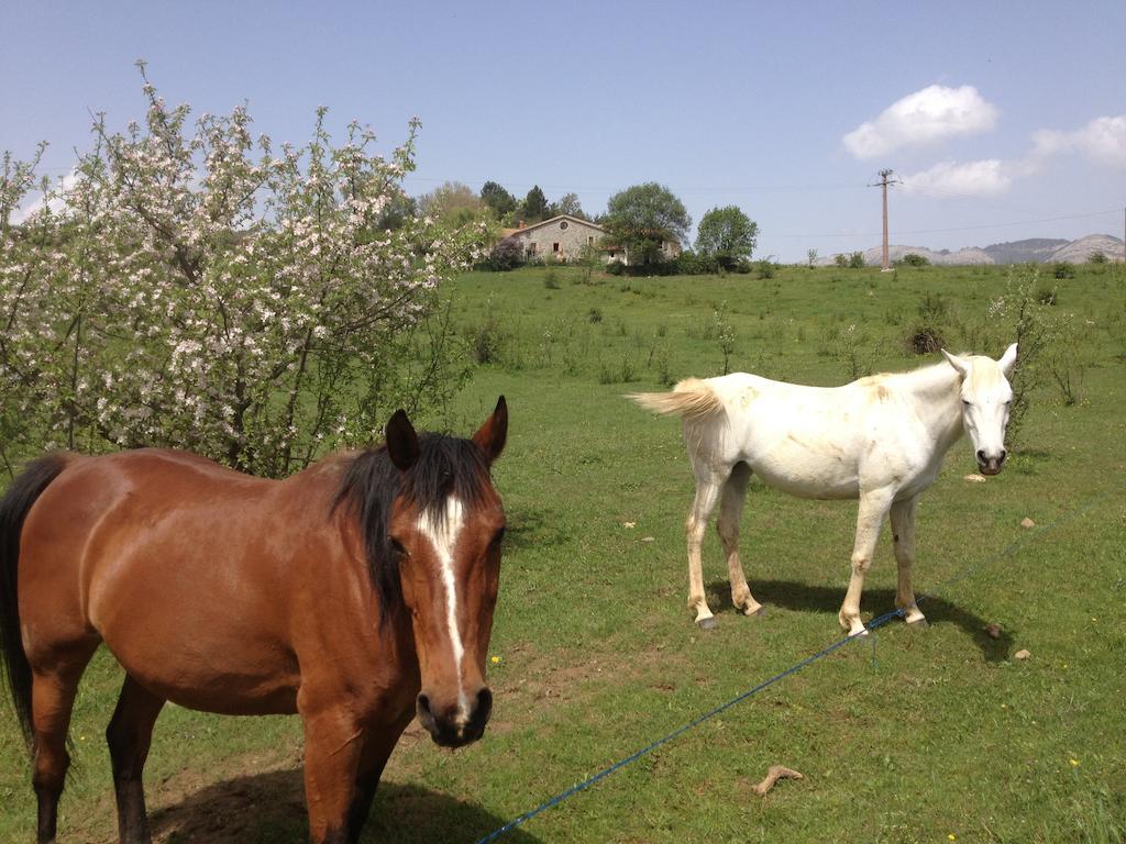 Les Gites D'Eliane Laragne Buitenkant foto